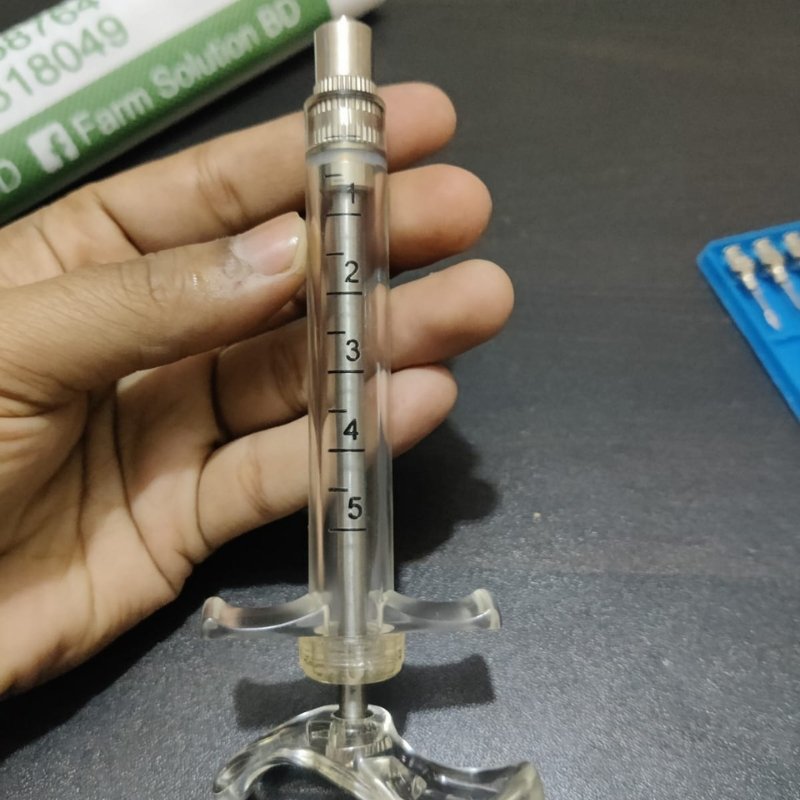 Untitled design (79)